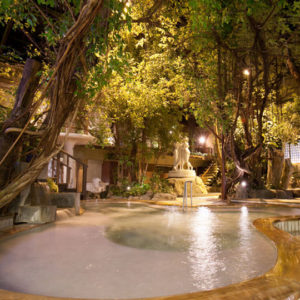 泰泉閣のジャングル風呂