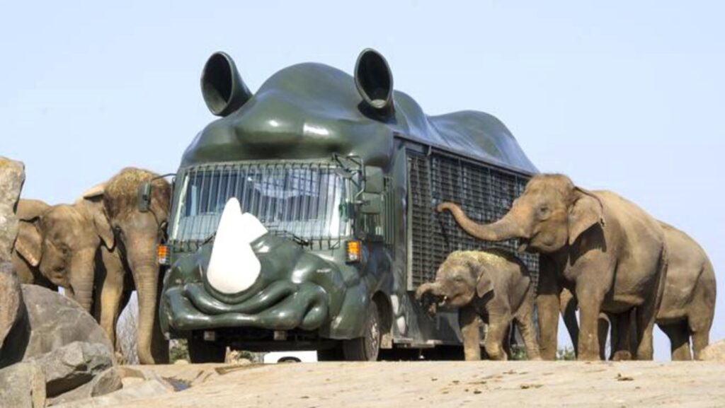 ゾウもこんな近くで見れる!