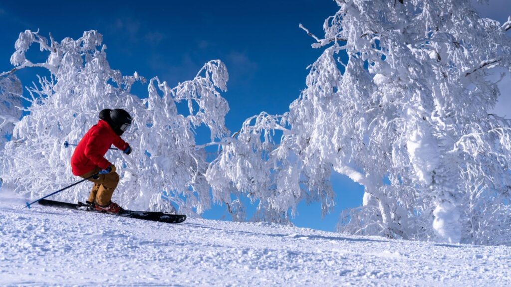一度はこんなゲレンデで滑りたい！
