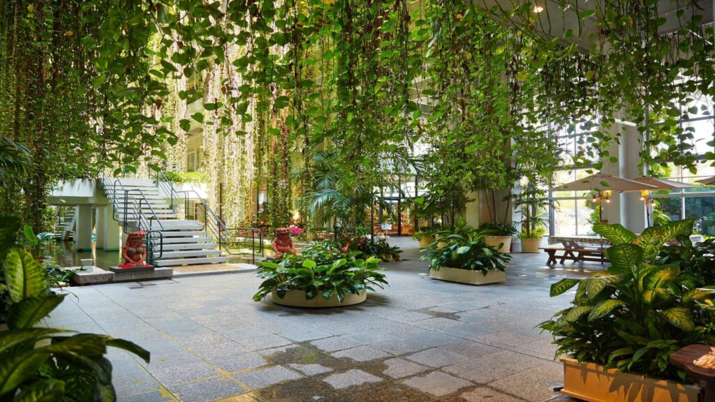 これがエントランス！！